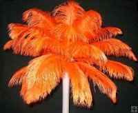 My centerpieces idea