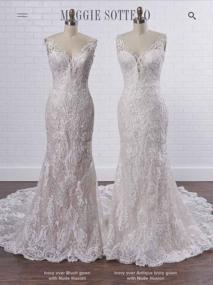 Did you end up with the dress you dreamed of? - 2