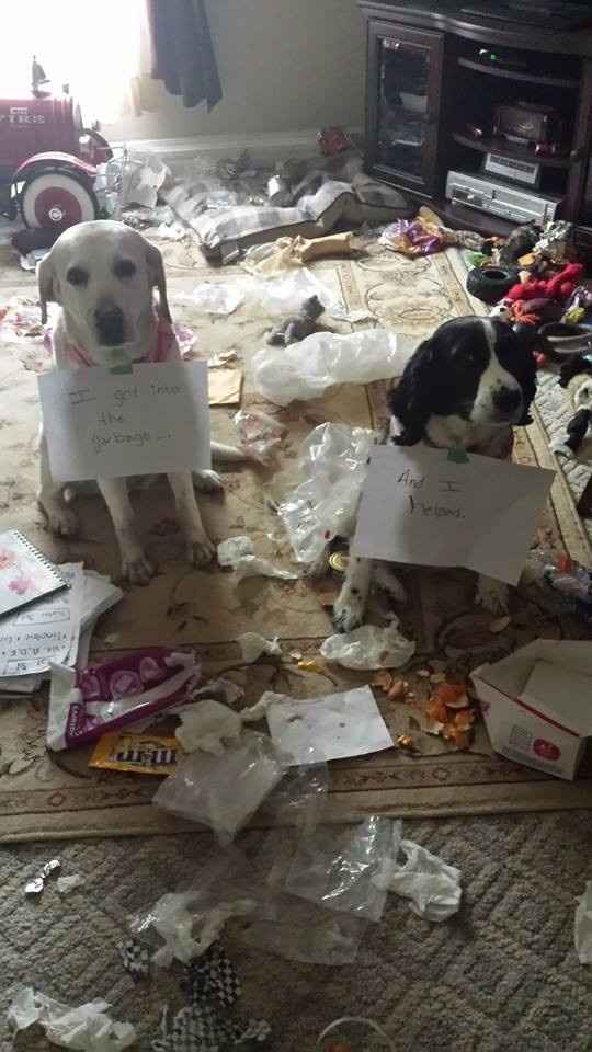 NWR.......FUR BABIES!!!!