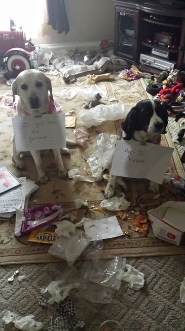 NWR.......FUR BABIES!!!!