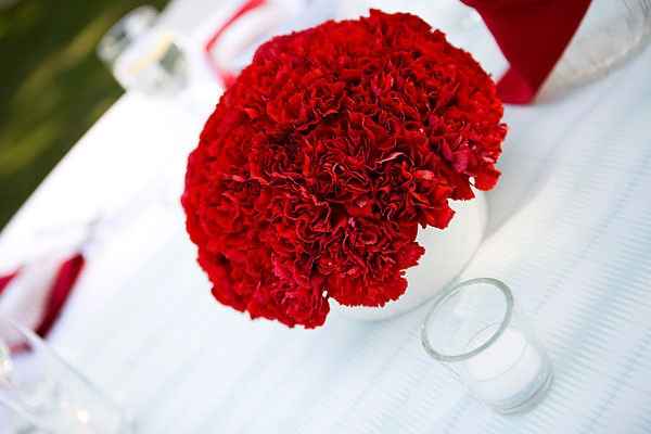Suburged carnation flower centerpieces