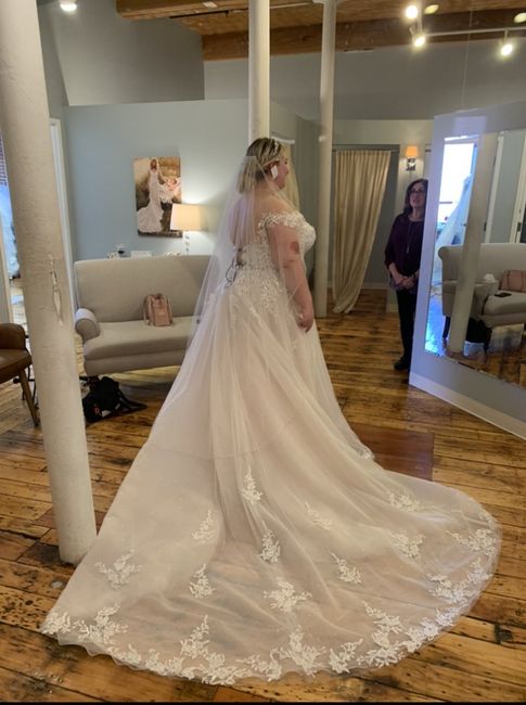Wedding Veil Help 4
