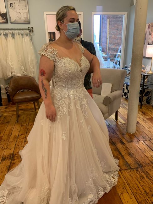 First Dress Fitting! 1