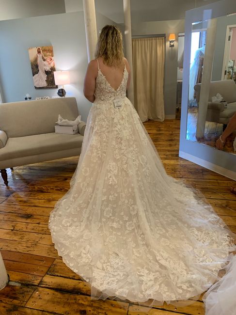My Dress Came In! 2