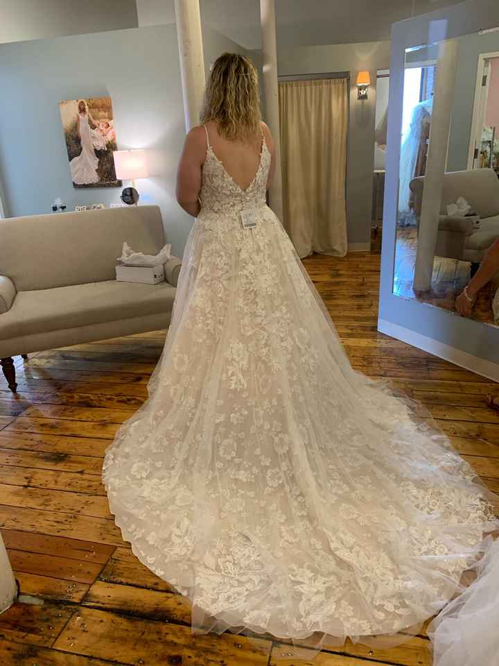 My Dress Came In! - 2