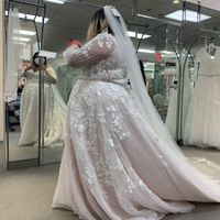 Wedding Dress Anxiety!!! - 2