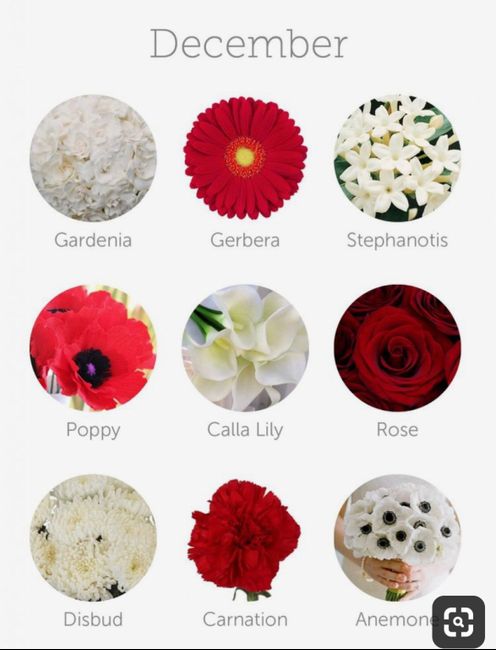 Flowers for a winter wedding? - 1