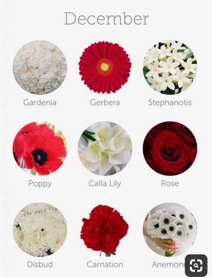 Flowers for a winter wedding? - 1