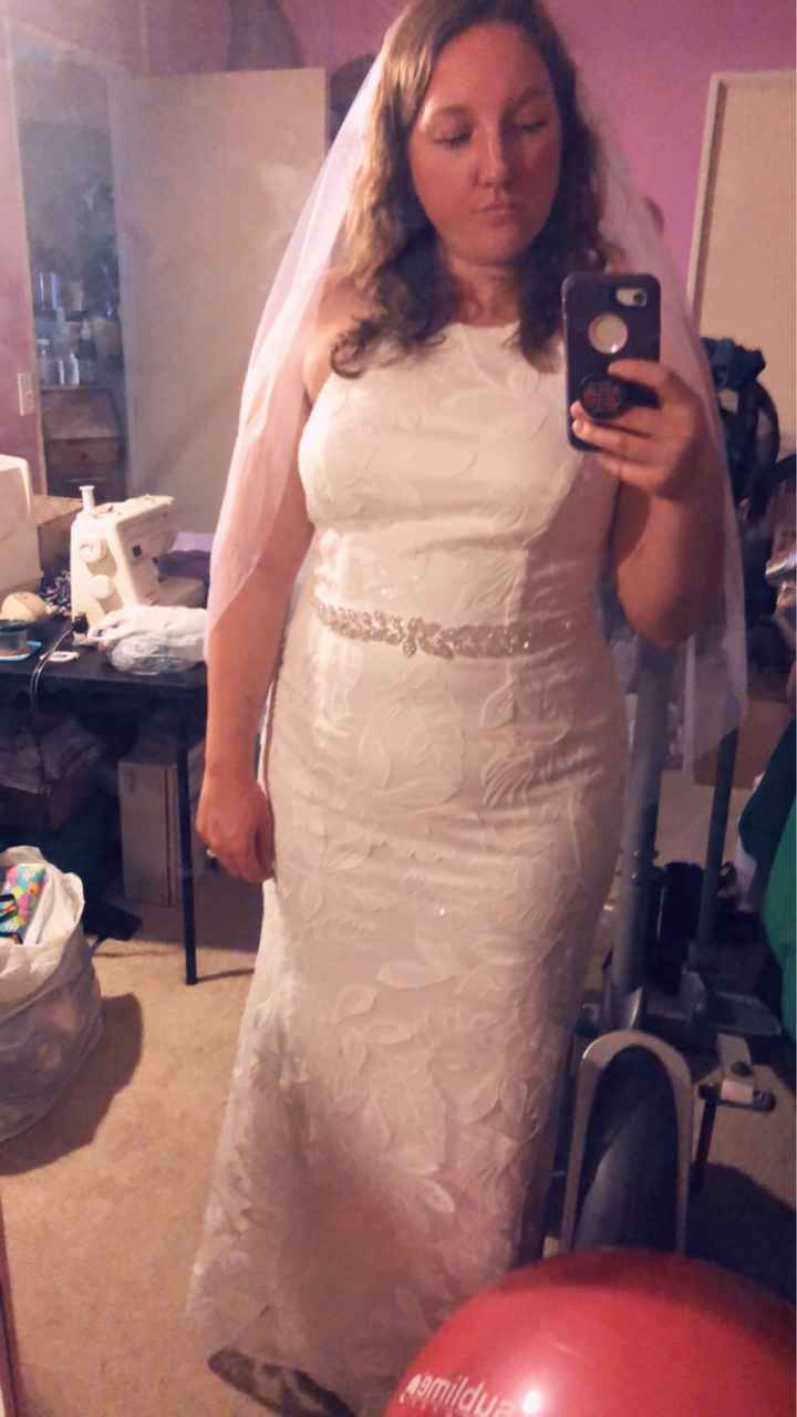 Veil or no veil? - 1