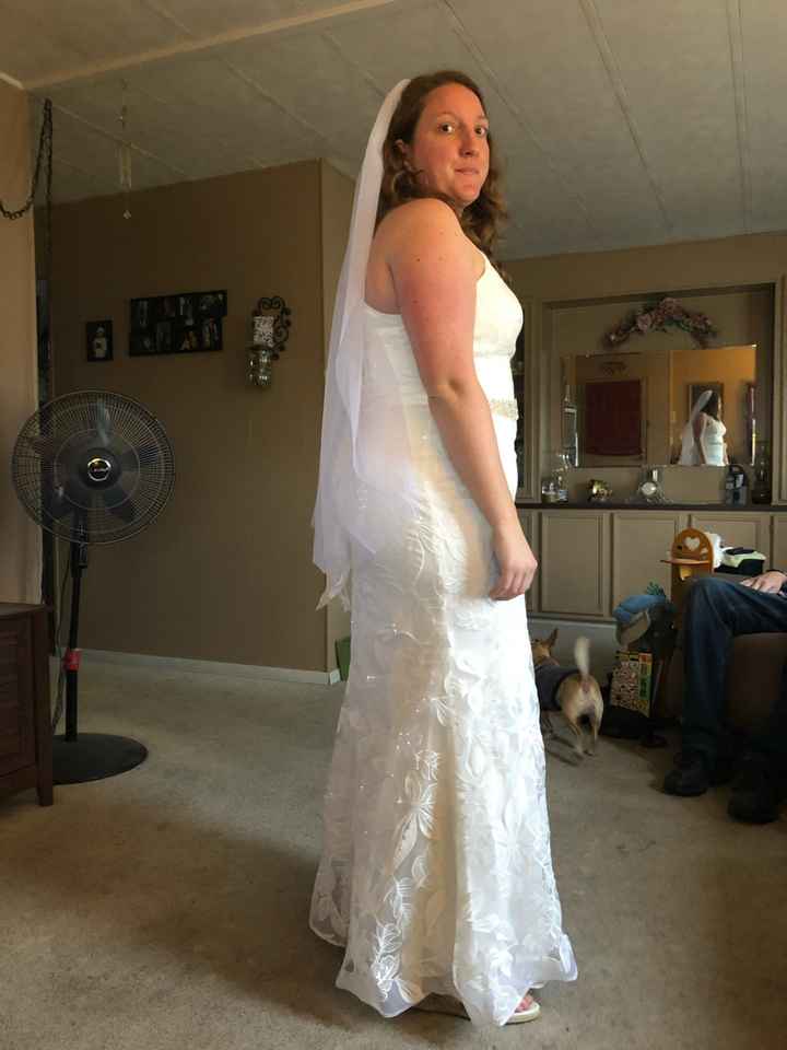Veil or no veil? - 2