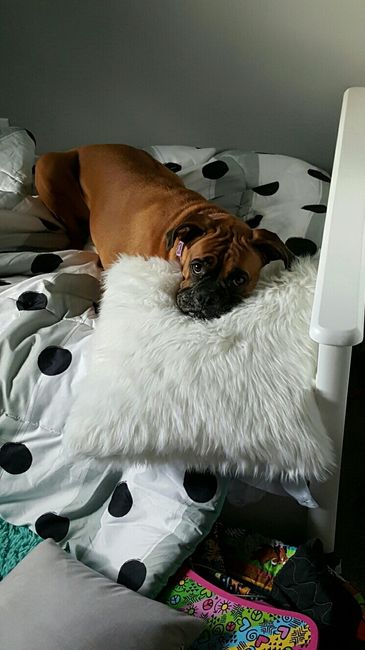 NWR: Show me your pups!