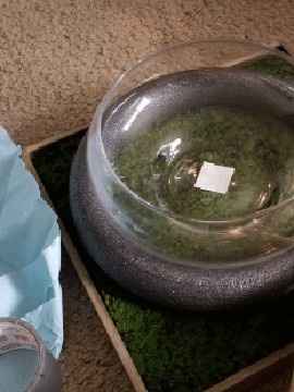 Centerpieces for December Dungeons and Dragons wedding - 1