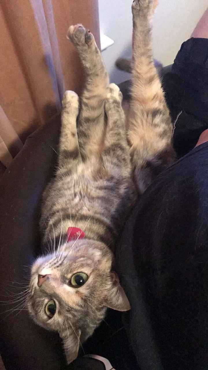 NWR: Show me your fur babies