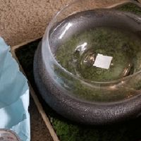 Centerpieces for December Dungeons and Dragons wedding - 1