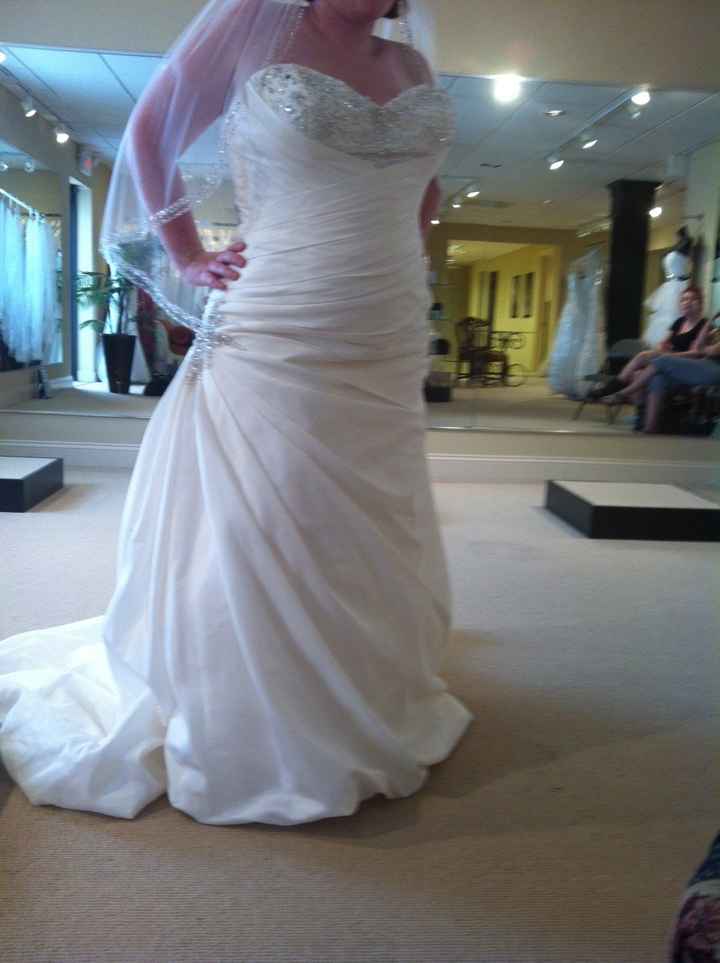 Plus Size Wedding Dress Choice