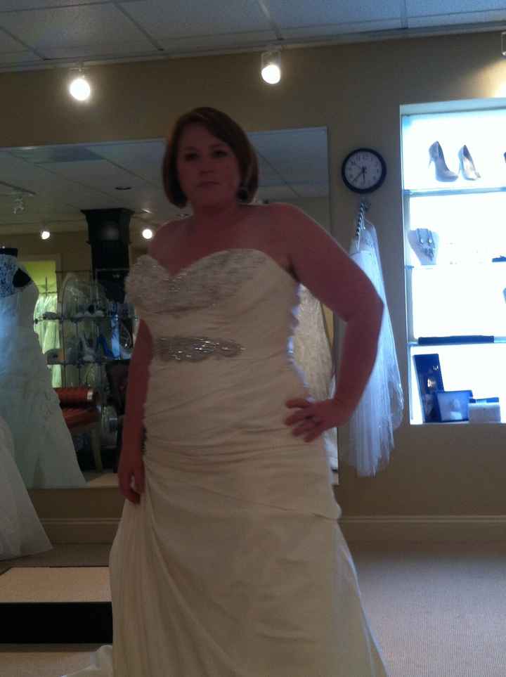Plus Size Wedding Dress Choice