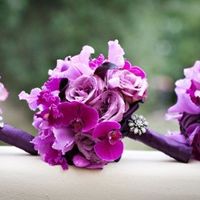 Need some flower help!