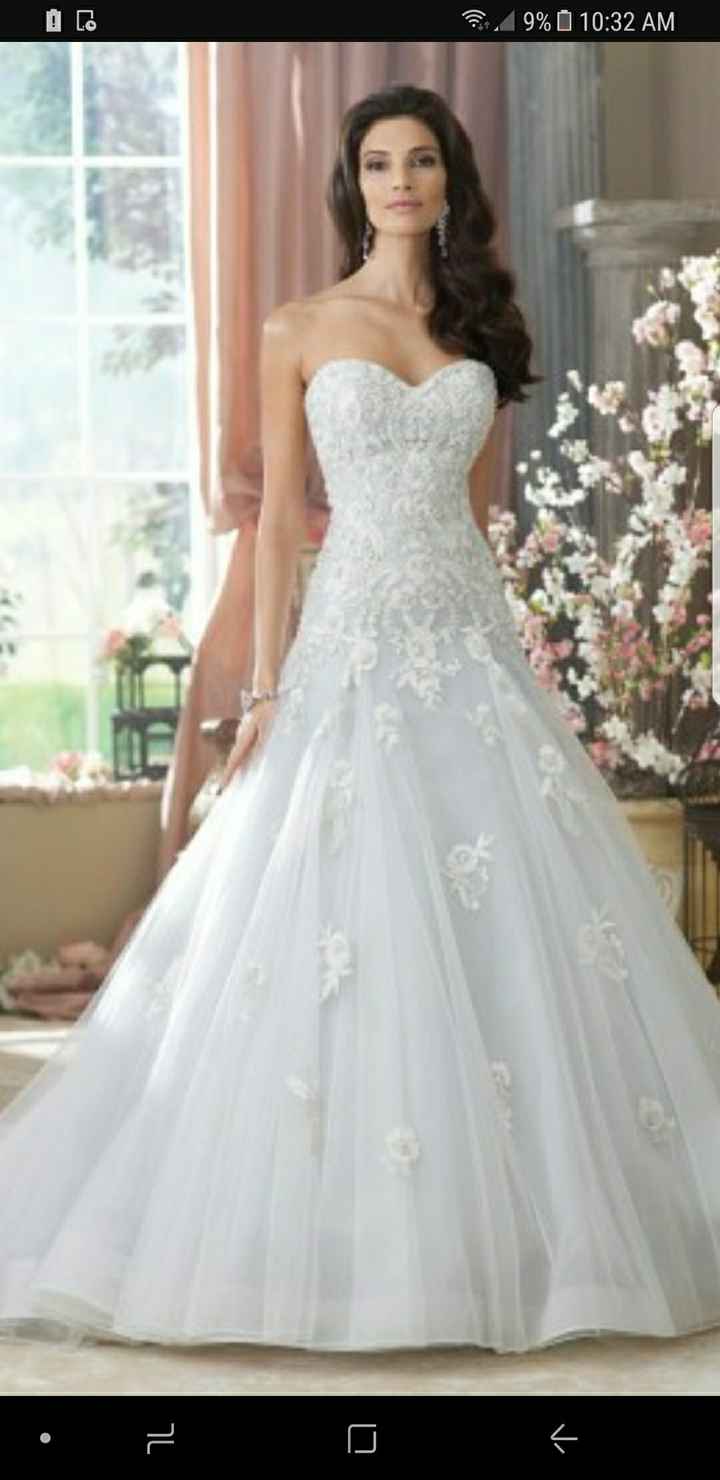 My Stupid Wedding Dream! - 1