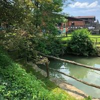 bam July 1st pics!! - 7