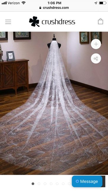 Wedding veil - 1