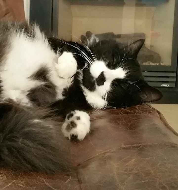 It's Fursday! Share the love!