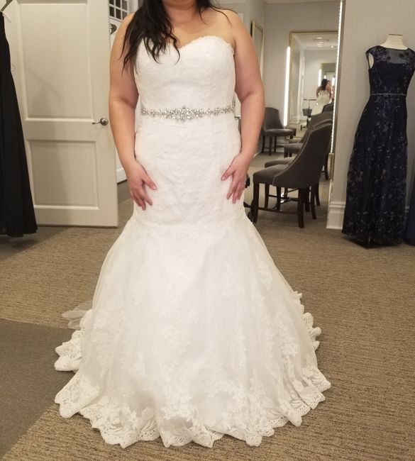 Show me your David's Bridal Dresses 11