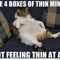 Damn you Girl Scout Cookies