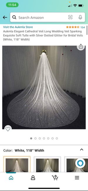 Best Veil to match glitter dress 4