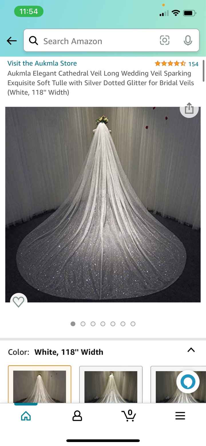 Best Veil to match glitter dress - 1