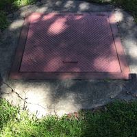 Aisle carpet runner?