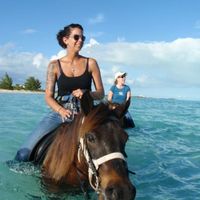 Has anyone been to Turks and Caicos?