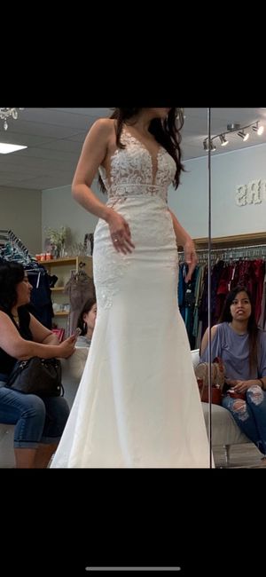 Wedding dress chronicles 4