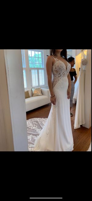 Wedding dress chronicles 5