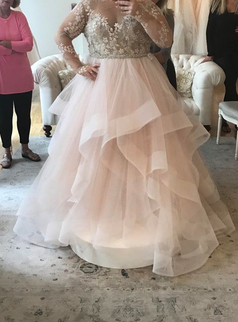the gown (last time I PROMISE) lol 