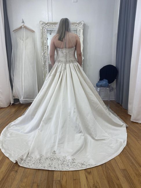 Having doubts about dress - 1