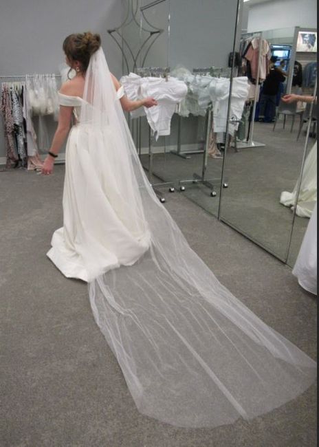 Dress Twins? Wg3979 from David's Bridal or Sofia Toli Kennedy Dress 2