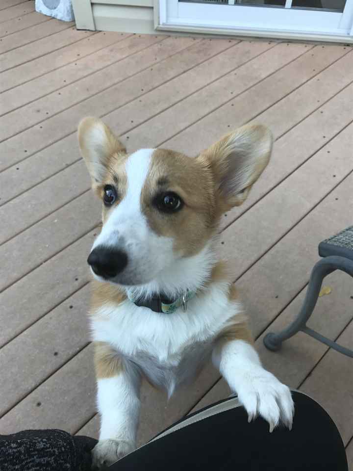 Good vibes and prayers please