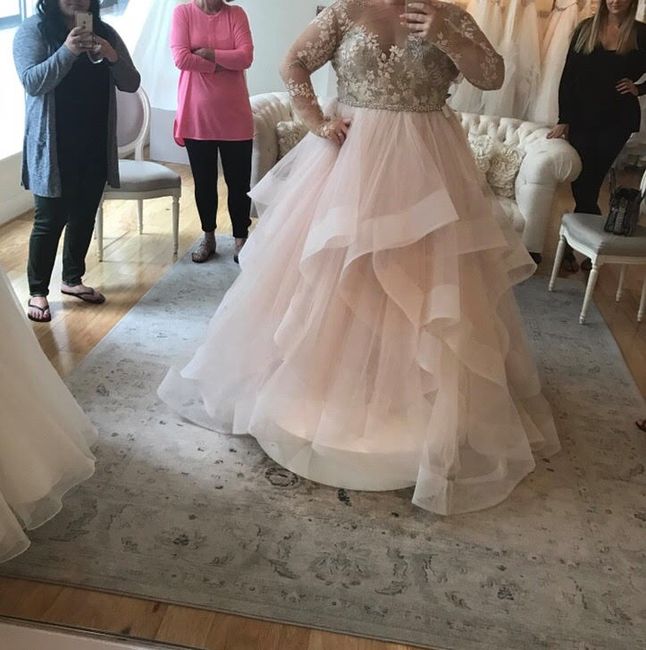 the dress itself 
