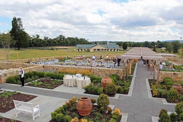 culinary garden (cocktail hour)