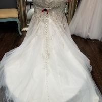 i fell in love with the dress but..... - 2