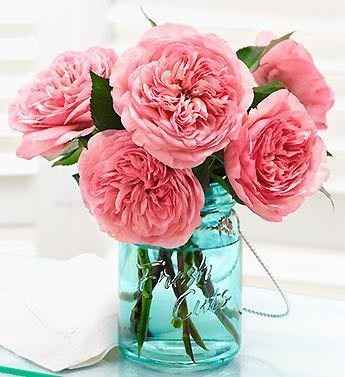 I can't pick a bouquet!