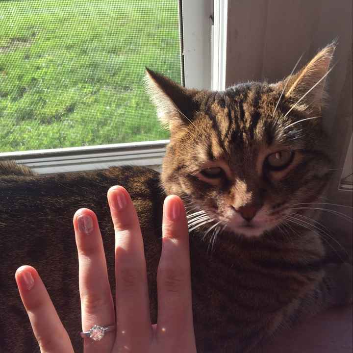 SHOW OFF YOUR RINGS LADIES!! I wanna see that bling!!!