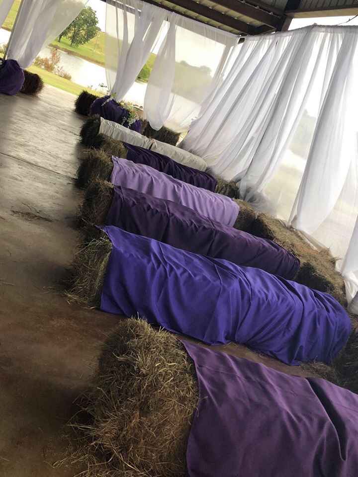 Non Pro and Pic Heavy - 3