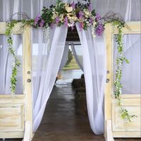 Non Pro and Pic Heavy - 2