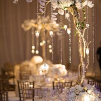 Tree/Shrub Like Centerpieces (I don't think it's manzanita?)