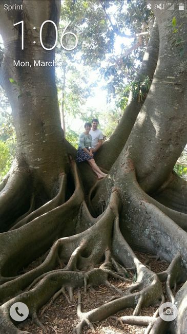 Let's see the Screen Savers!