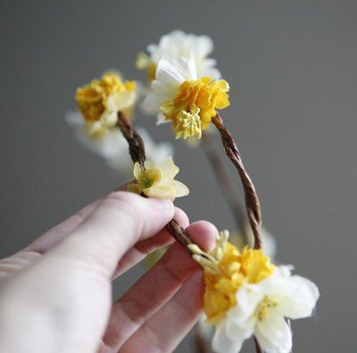 my fairy crown!