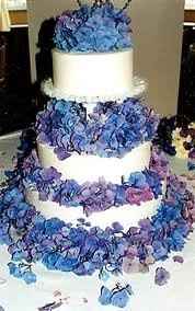 Cake Ideas?