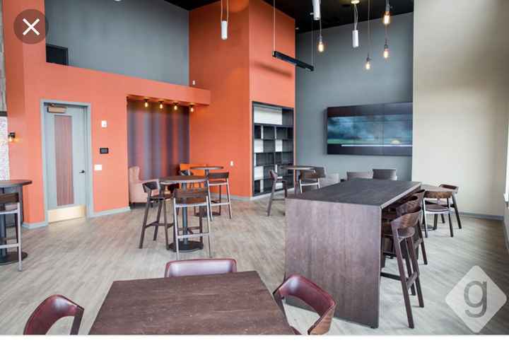 How to cover ugly walls at reception venue help! - 1