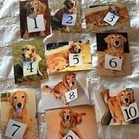 How are you all incorporating